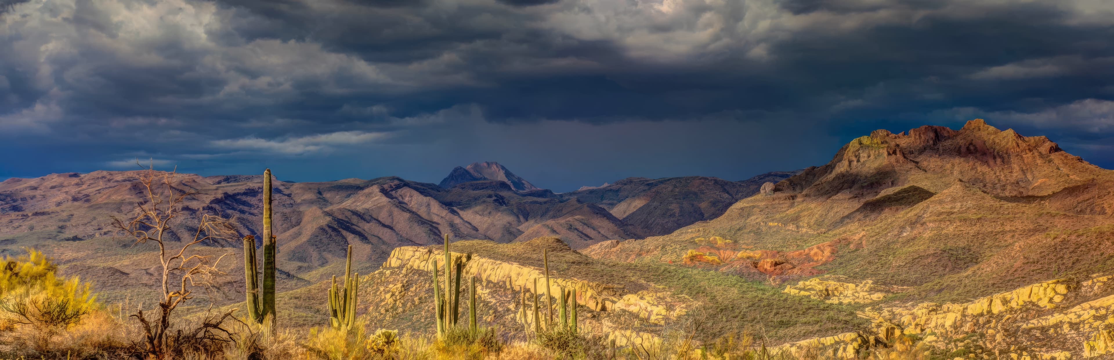 Saguaro-studded Arizona copper country under a dramatic storm sky
